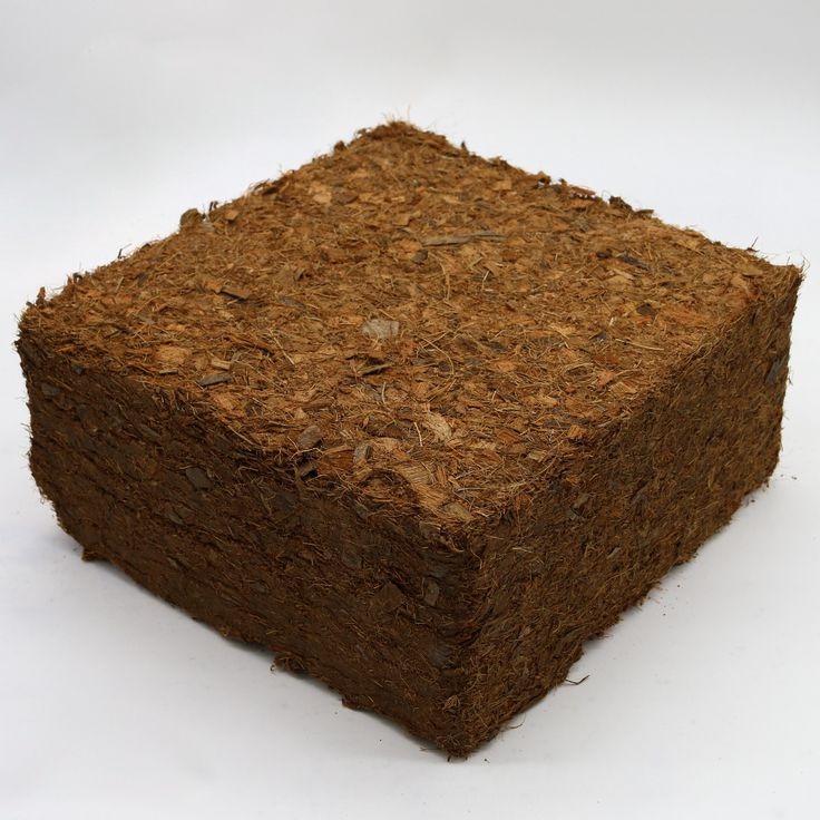 Coco Peat Blocks: The Ultimate Guide to Sustainable Growing Medium