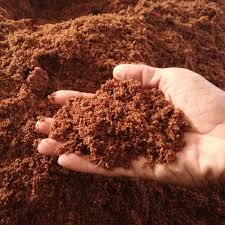 Cocopeat Powder
