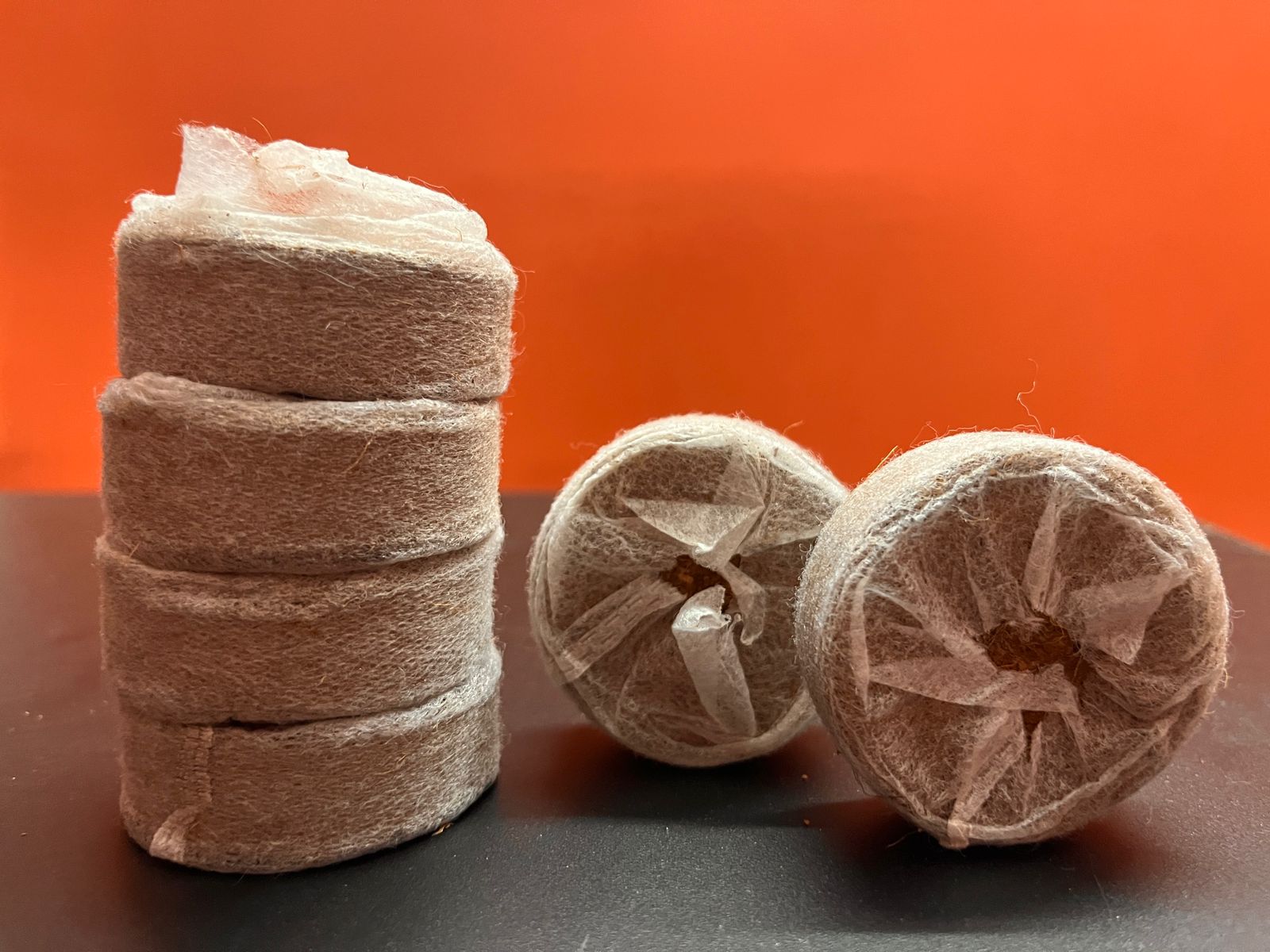 Coir Coin Disc  view 2