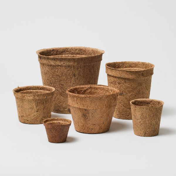 Coir Pot