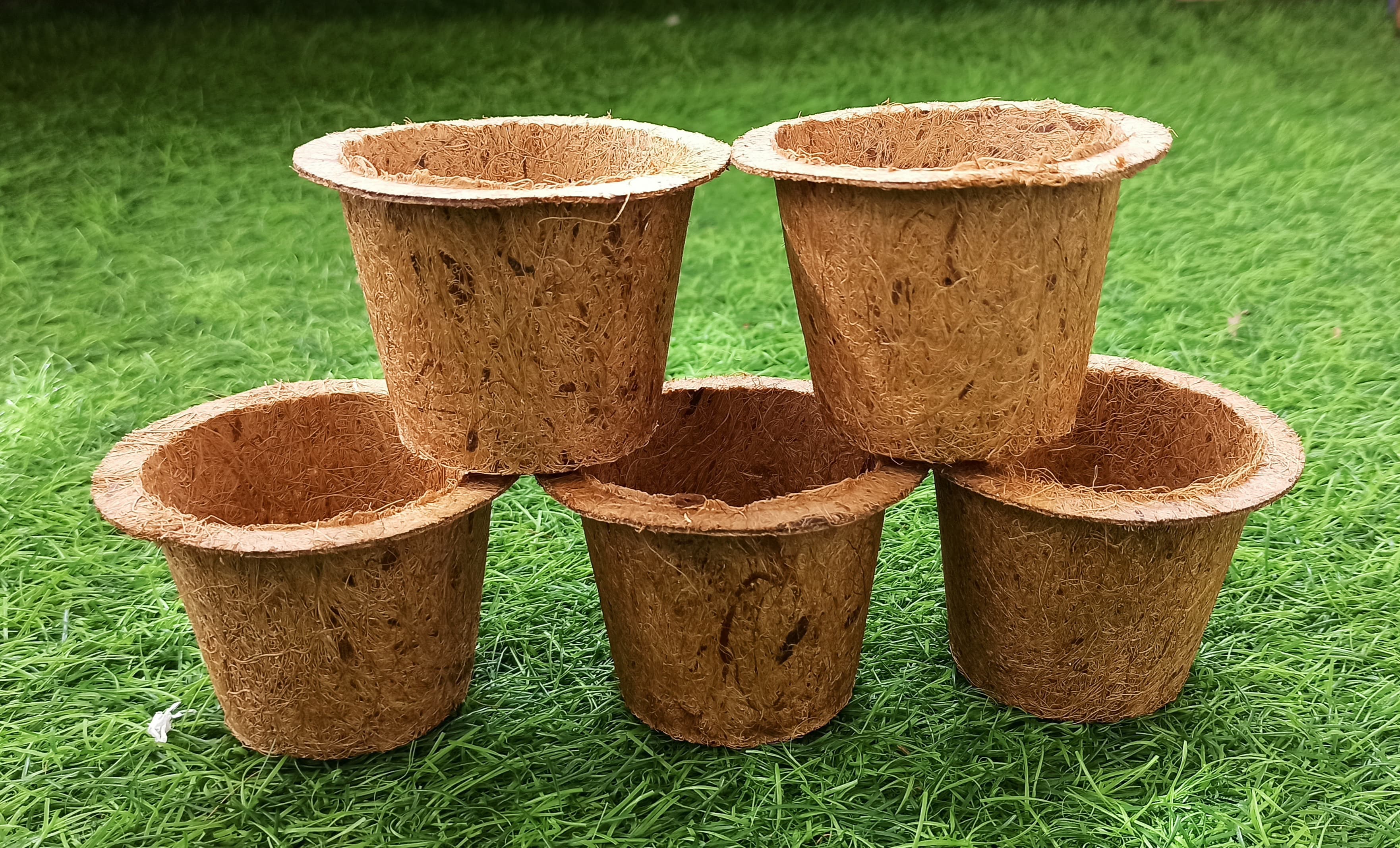 Coir Pot view 3
