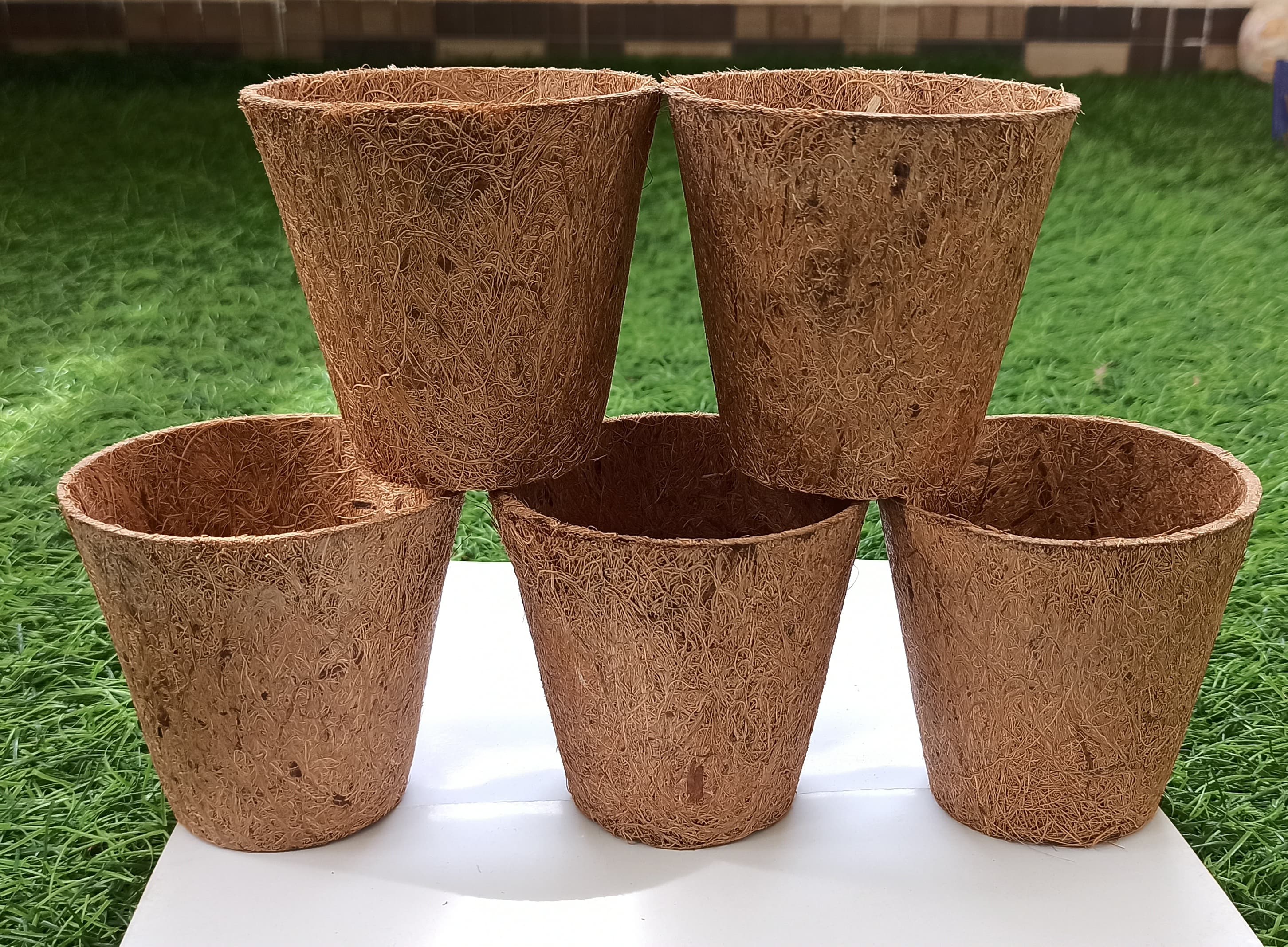 Coir Pot view 4