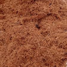 CocoPeat Powder