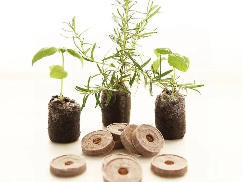 Coir Coin Disc  view 3