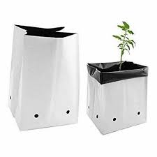 Open Top Grow Bag view 4